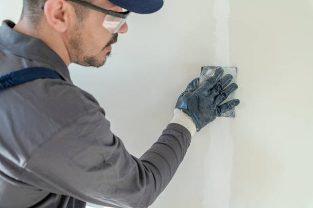 Best Drywall Texturing  in Westfield, WI